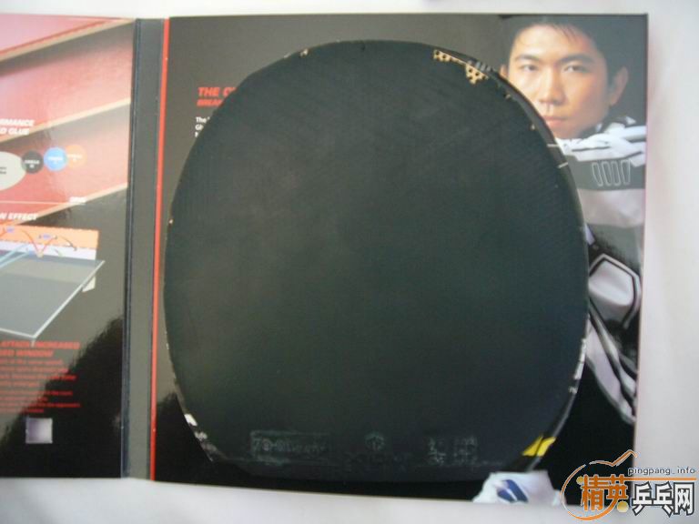 �����ͽ�̤�׽����������F1��HK1997�����