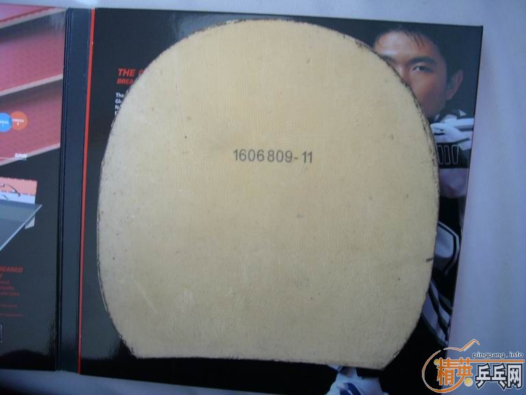 �����ͽ�̤�׽����������F1��HK1997�����