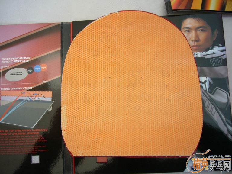 �����ͽ�̤�׽����������F1��HK1997�����