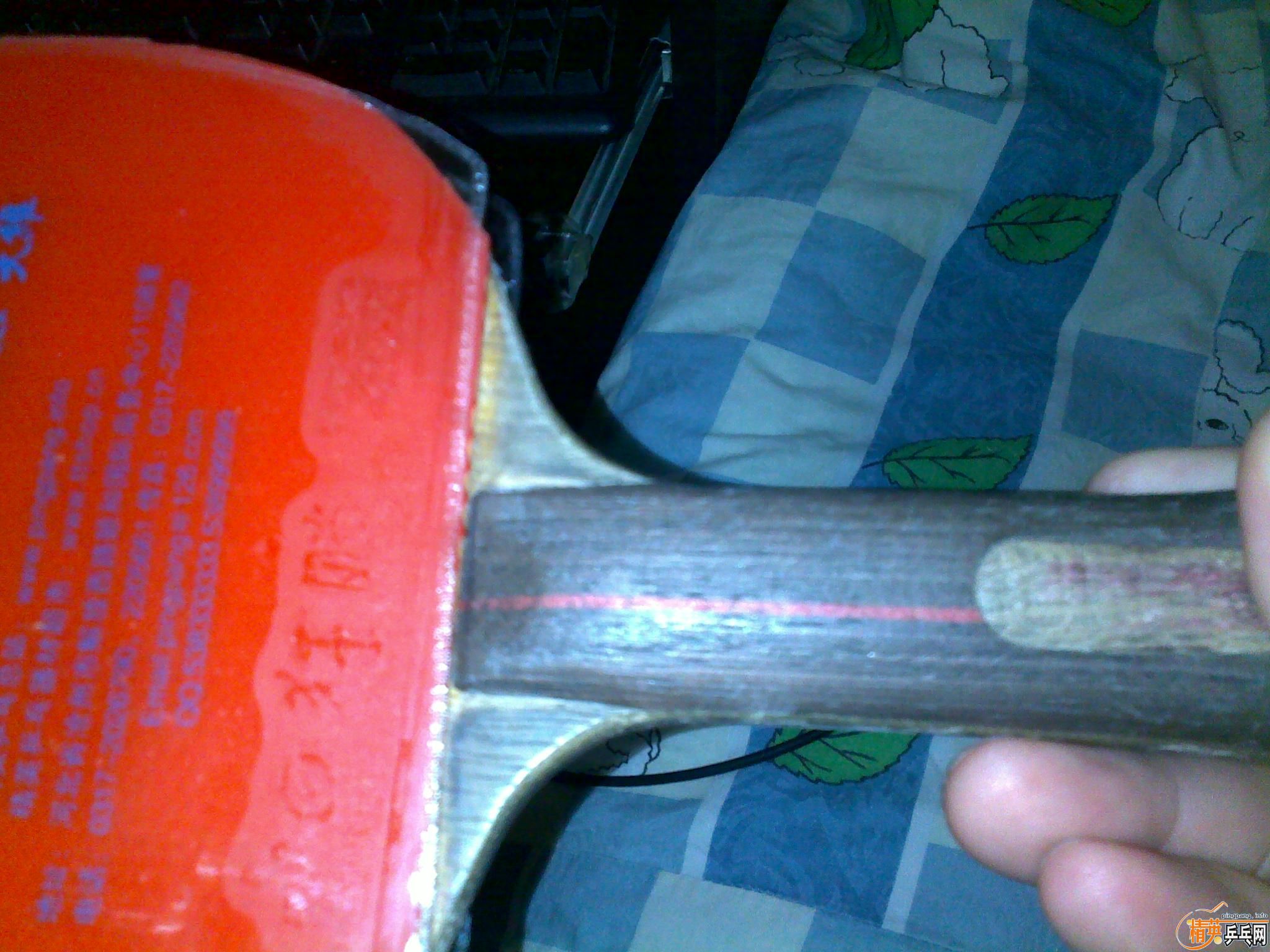 ��DONIC-xushaofa���1���Լ����Ѿ�Ҫ������