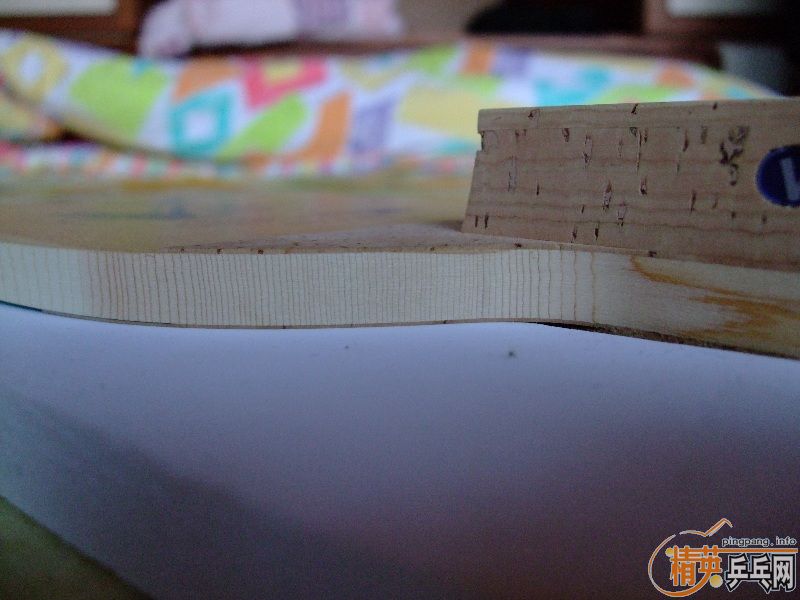 �ҵ�G���뺫���뽻��VT��������׽�