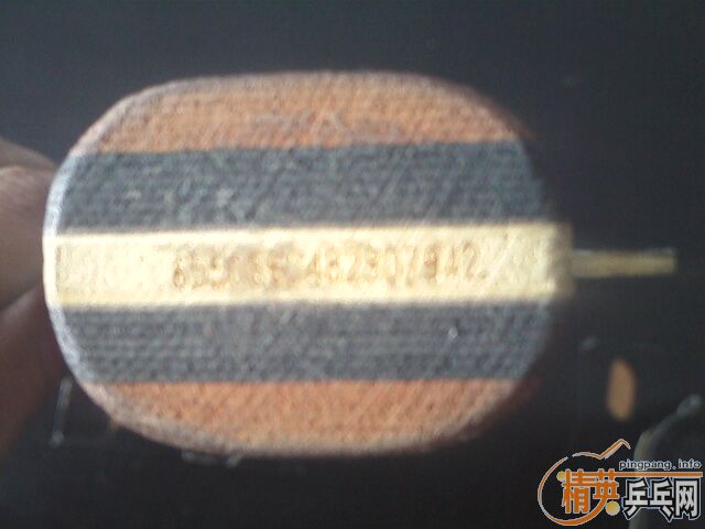 ����oc���һֻ���л���180