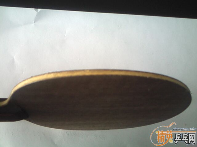 ����oc���һֻ���л���180