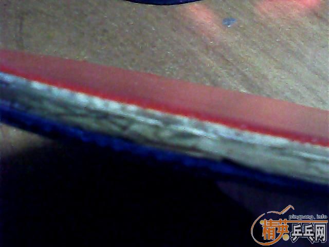 �����ҵĿƱ��������ͽ�Ƥ