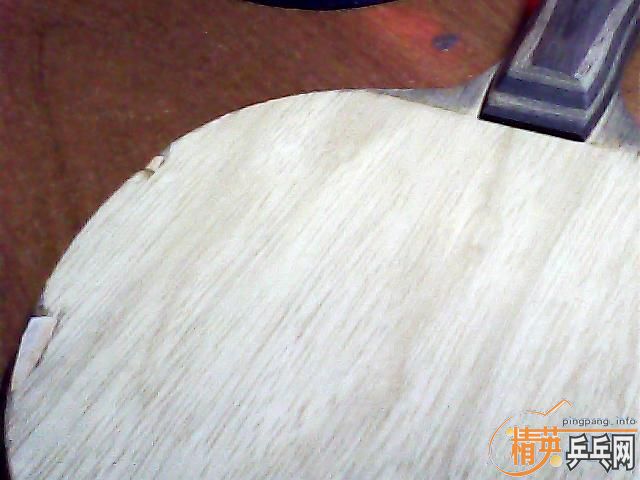 �����ҵĿƱ��������ͽ�Ƥ