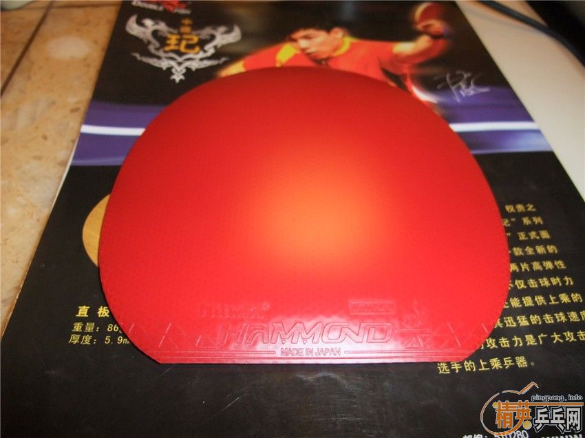 ȫ�����Ƿ����׽�����ֱ���У���ֵ�ÿ�����