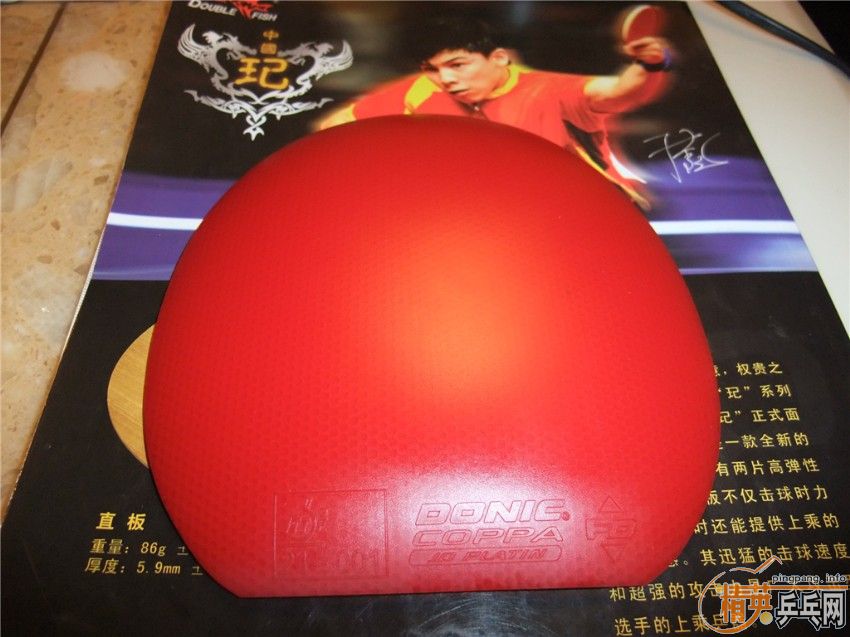 ȫ�����Ƿ����׽�����ֱ���У���ֵ�ÿ�����