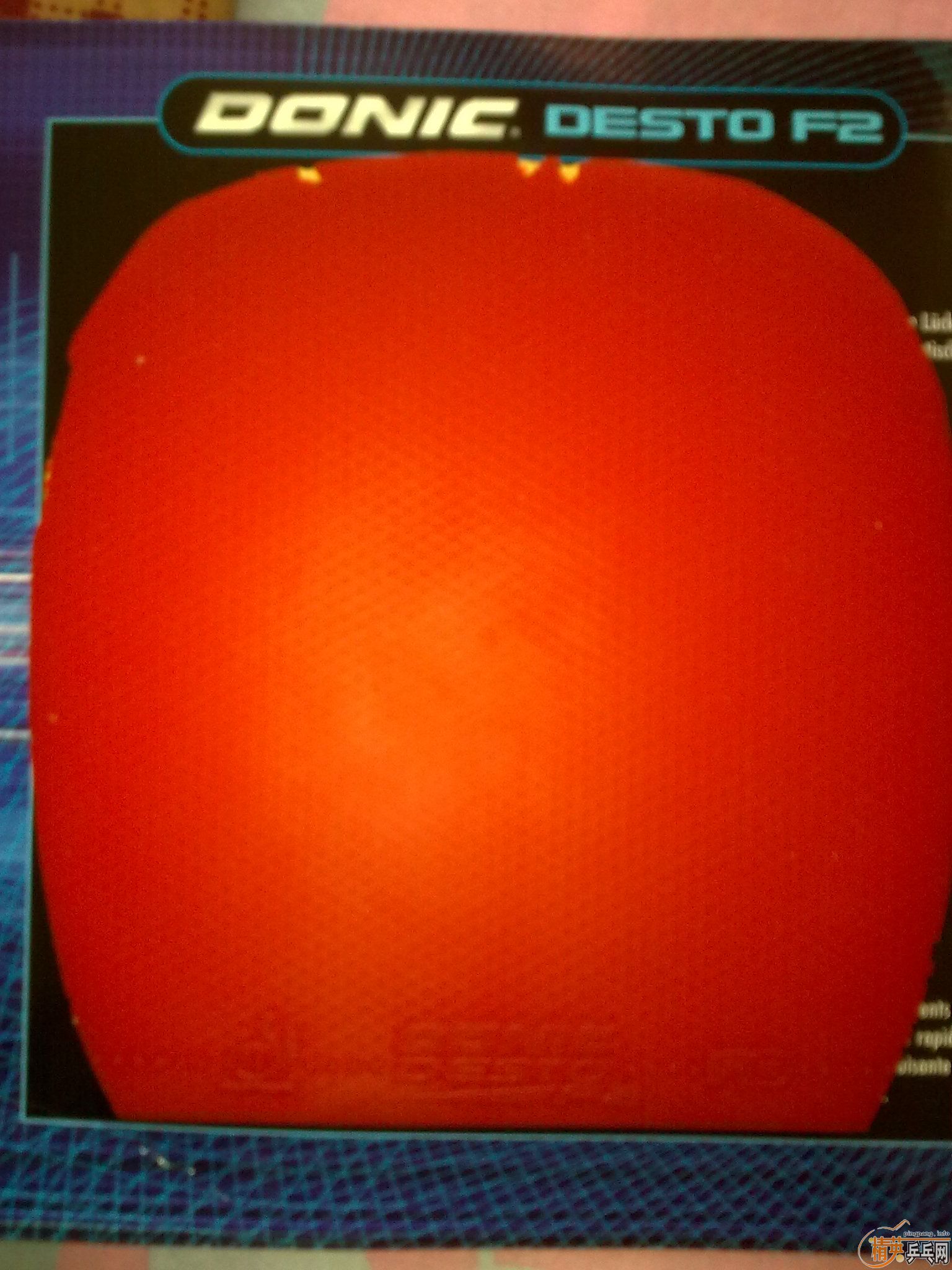 (��ͬ���ѳ�) ��ֱ��Ƥ����