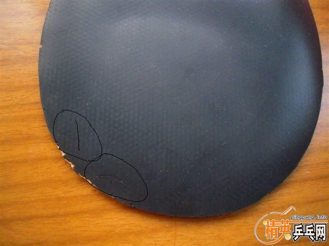 �������coppa  50������