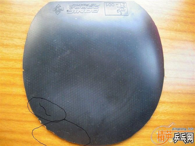 �������coppa  50������