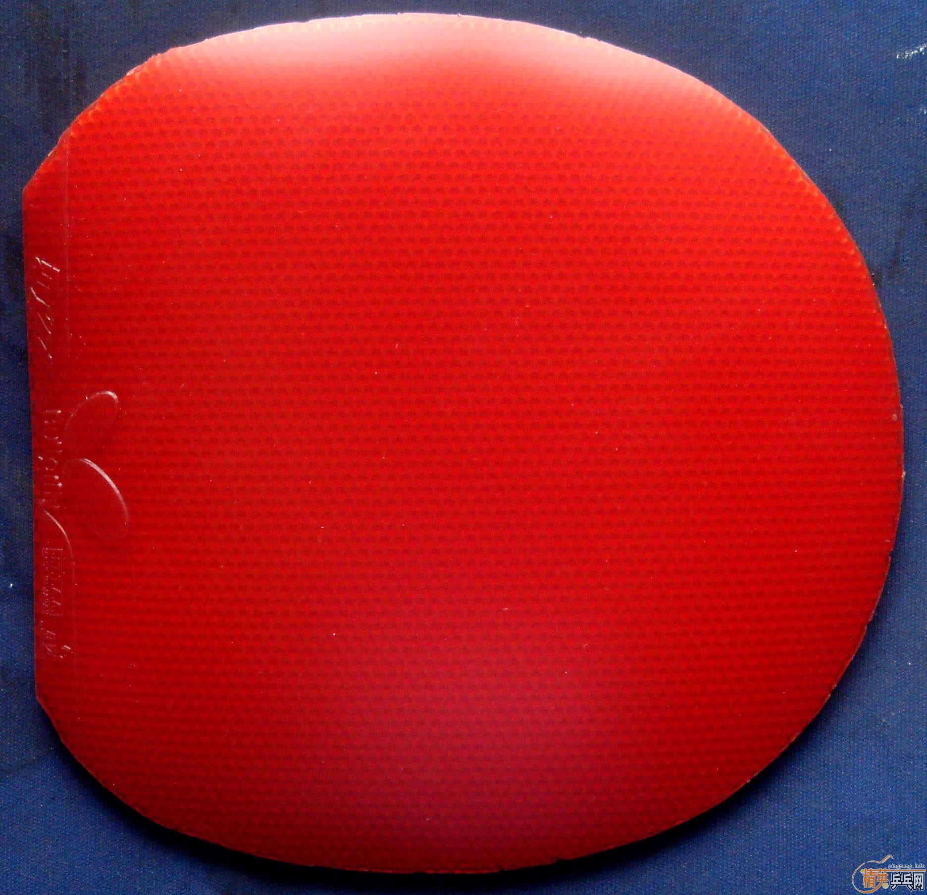 ����ɫsriver����͸�һ��