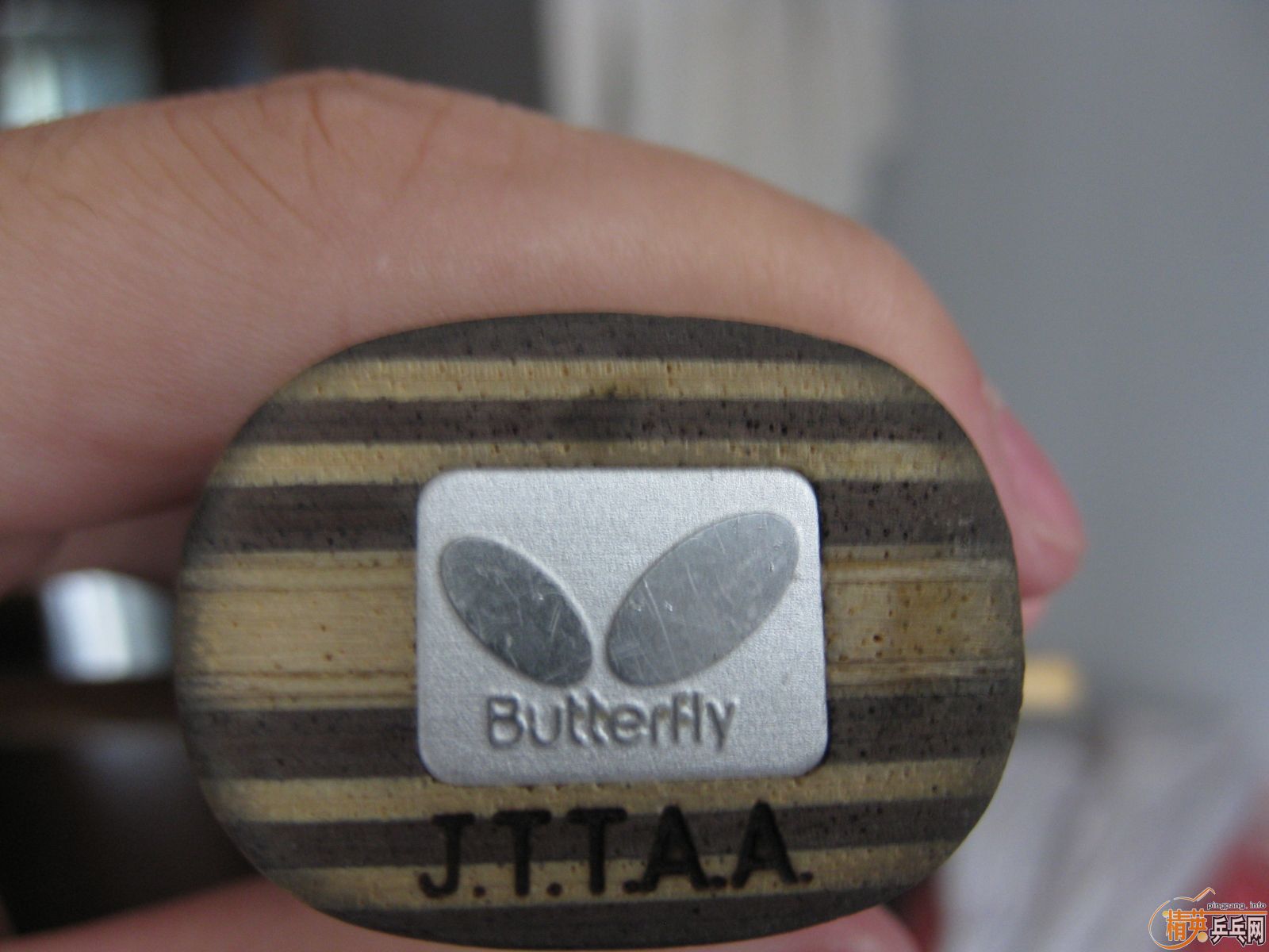 ��������װ� �����Ʊ��� KORBEL ֱ��