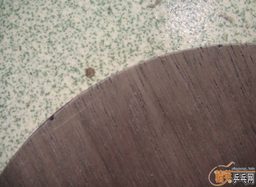 81���л���ڳ���--------------------------------