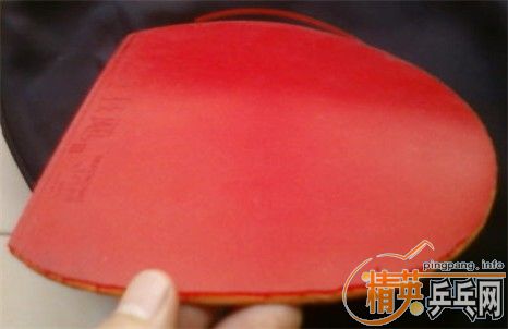 [�Ƽ�] ���ͼ�ת�ð�����!!!!!!