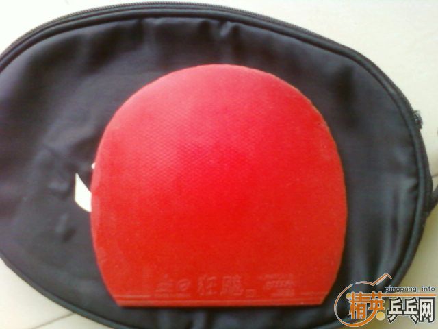 [�Ƽ�] ���ͼ�ת�ð�����!!!!!!