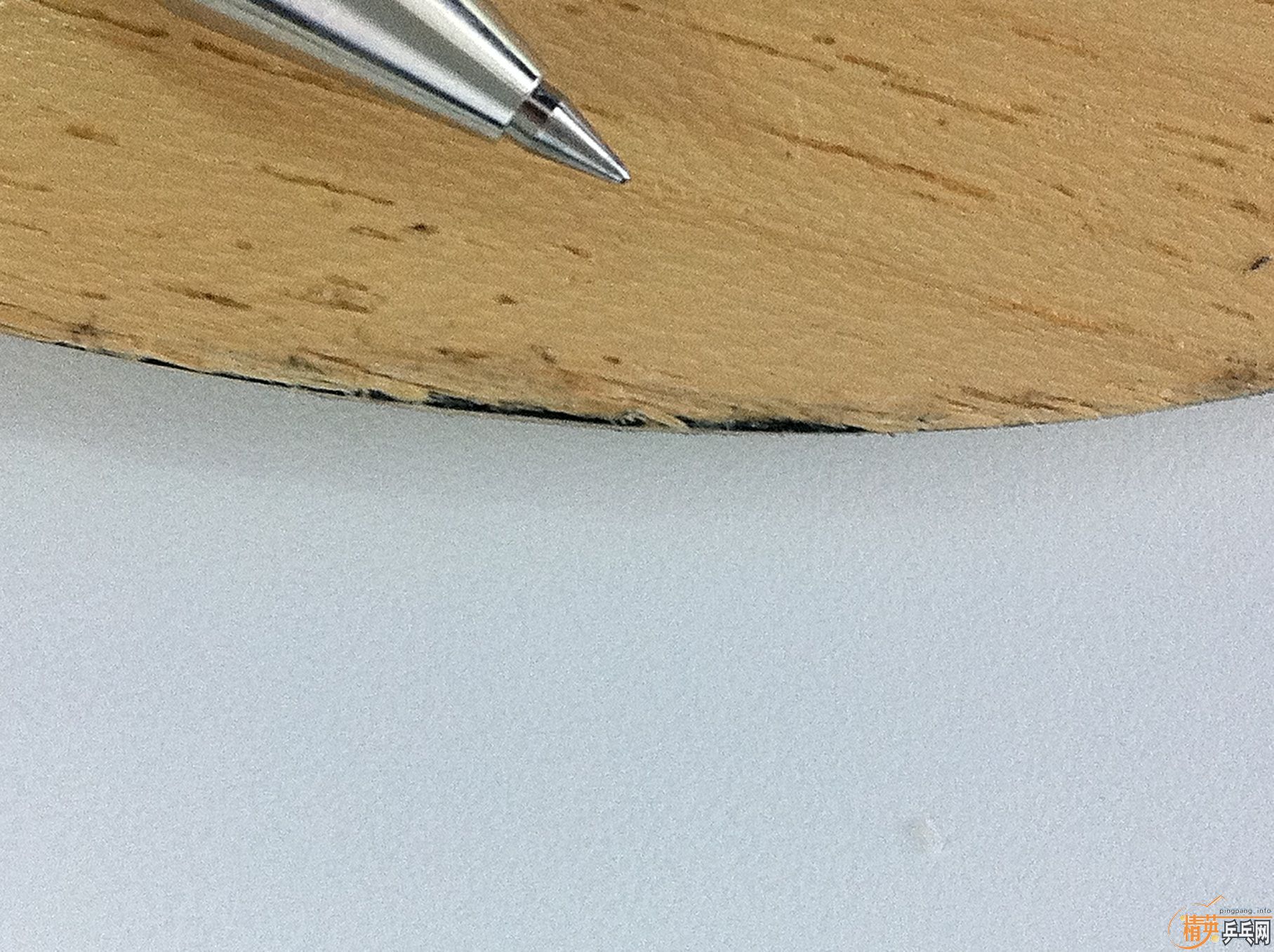 ˳ӣļ
