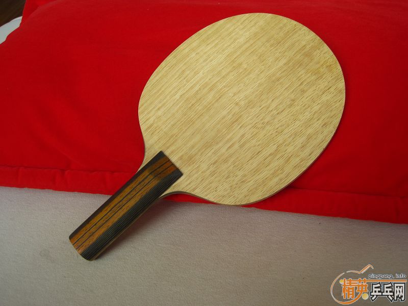 Ц�ɳ��壬�� ���������� ������ ľ������SRVIER FX �����������3 ���տ�