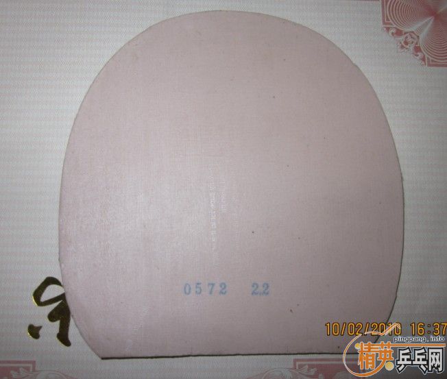 �����ᣬ��ɫ��----100����