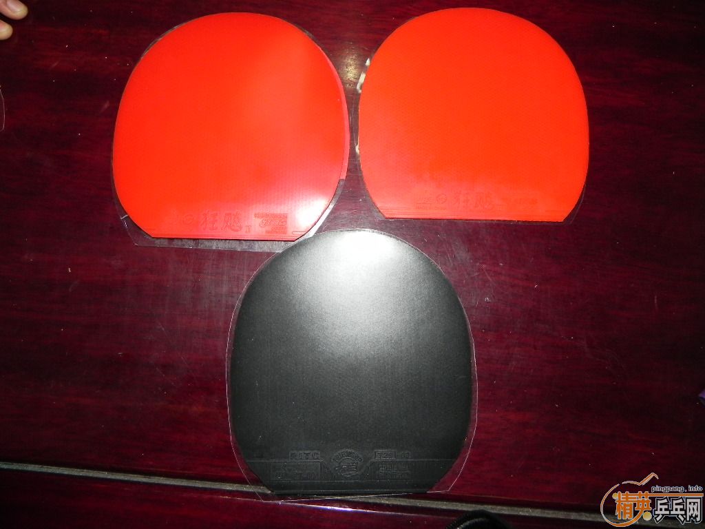 ��ɫ�žţ�729-08���������������������ף��²�����˵����