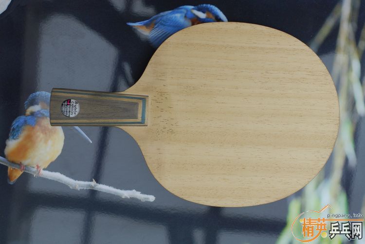 ֱ���º�����