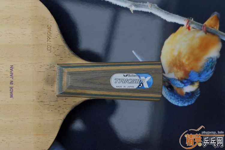 ֱ���º�����