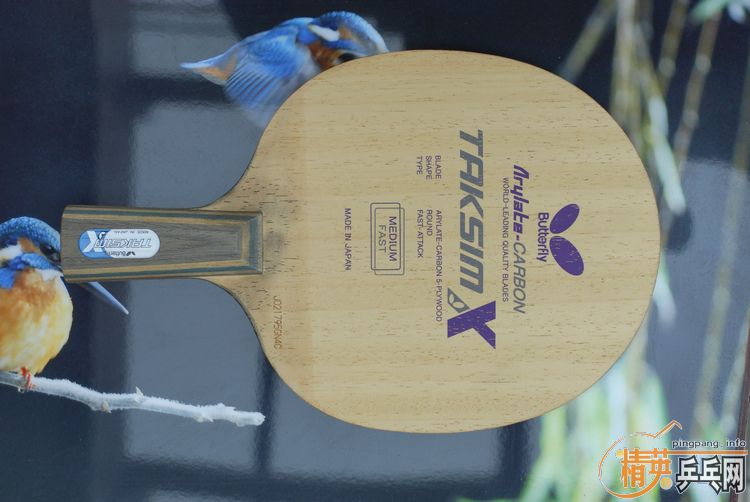 ֱ���º�����