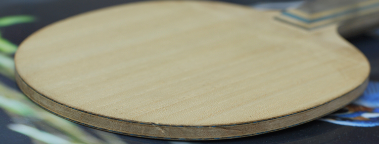 ֱ���º�����