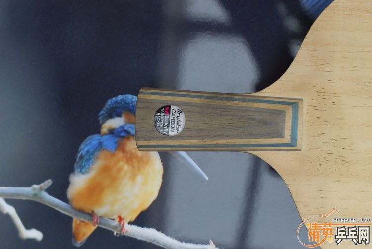 ֱ���º�����