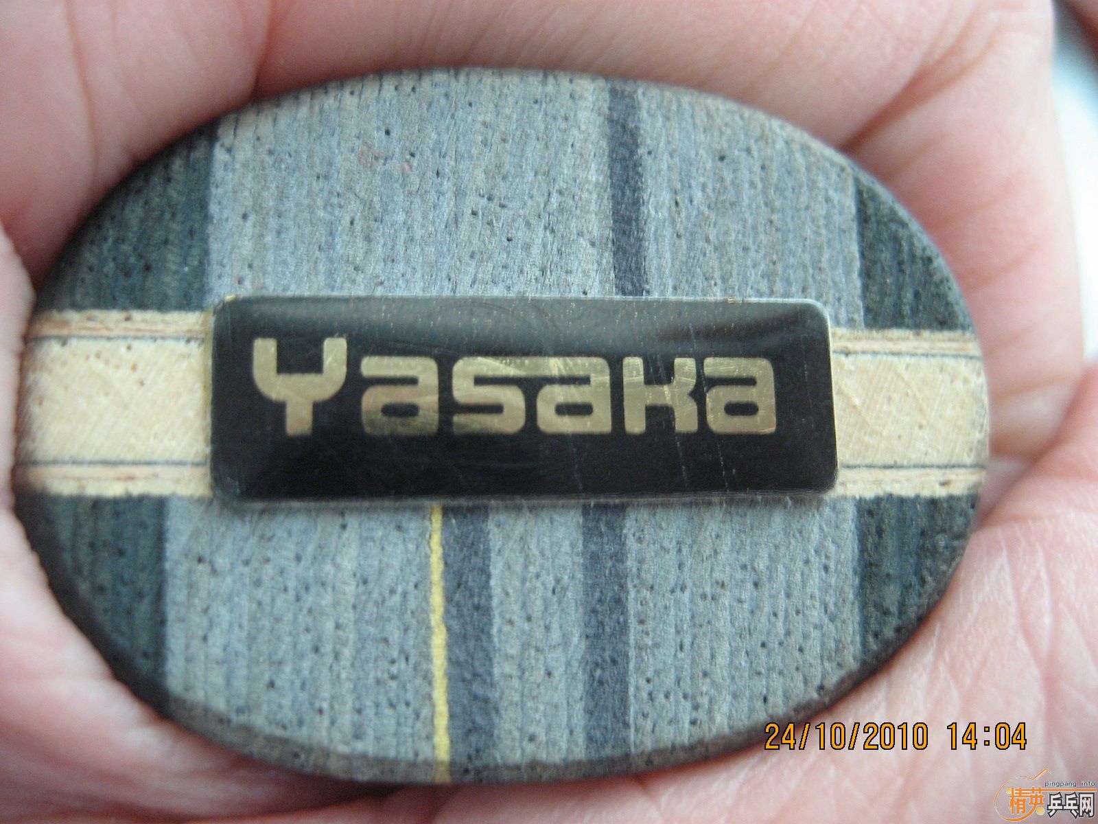 ******��8�׽��л���̼******