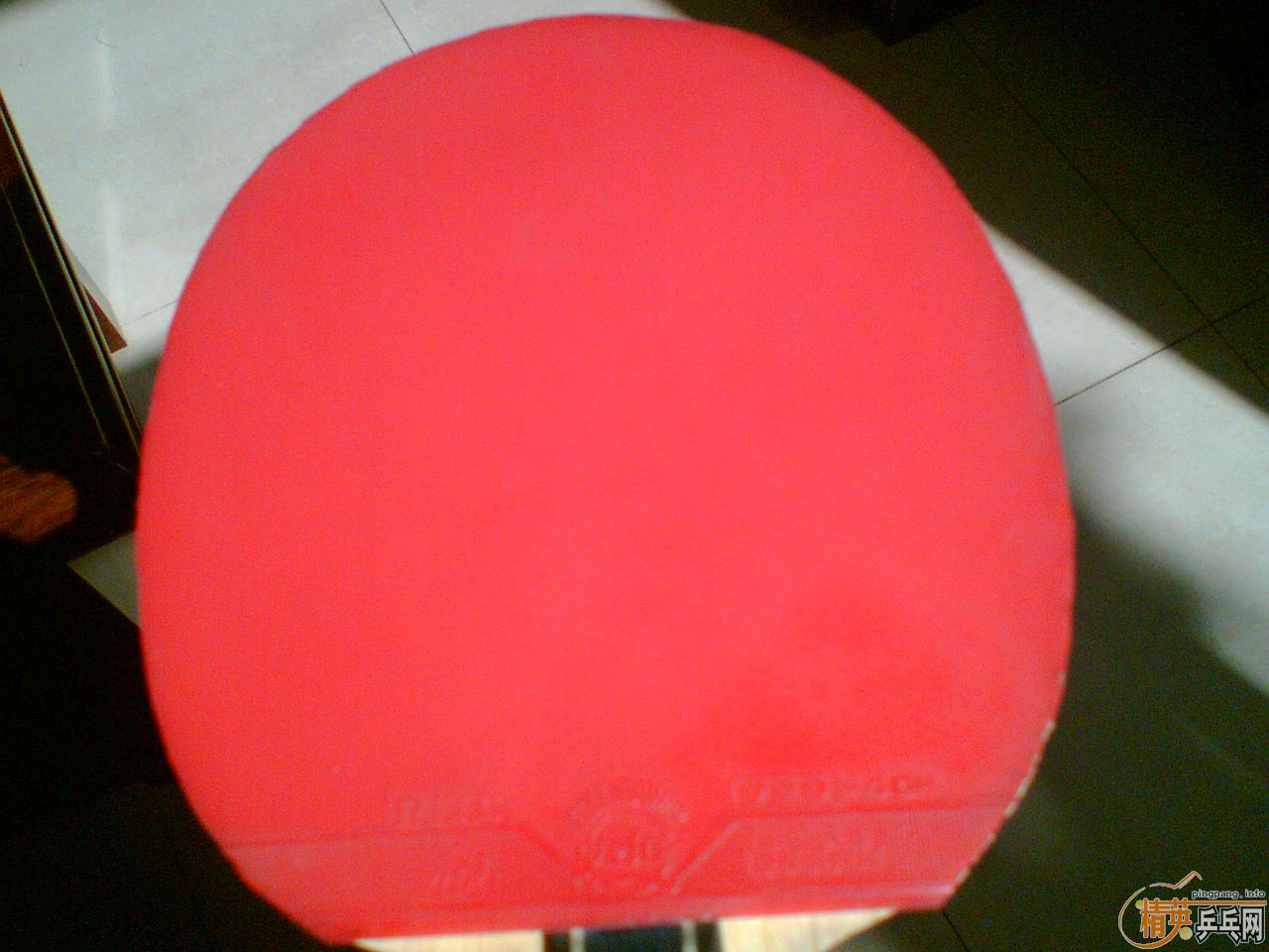 �����齺Ƥ