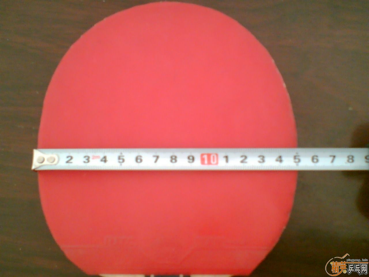 �����齺Ƥ