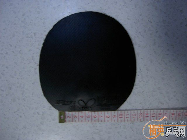 T05Ƥ5