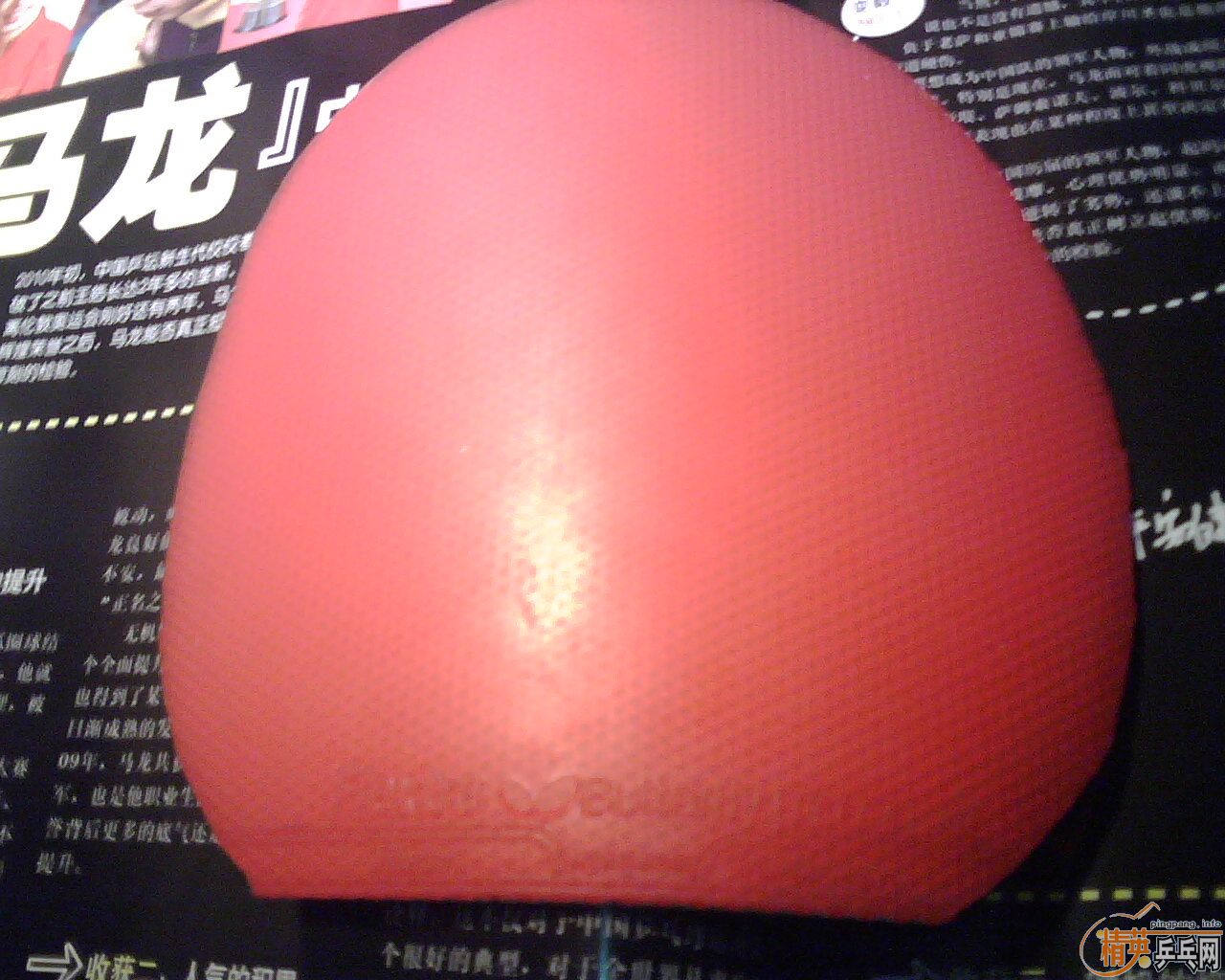 ���ѳ���С���� �����