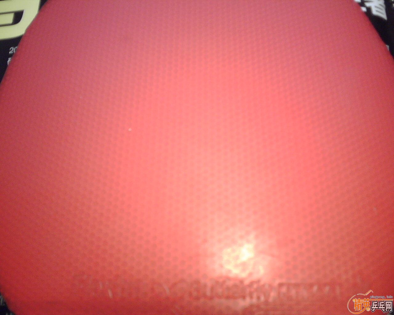 ���ѳ���С���� �����