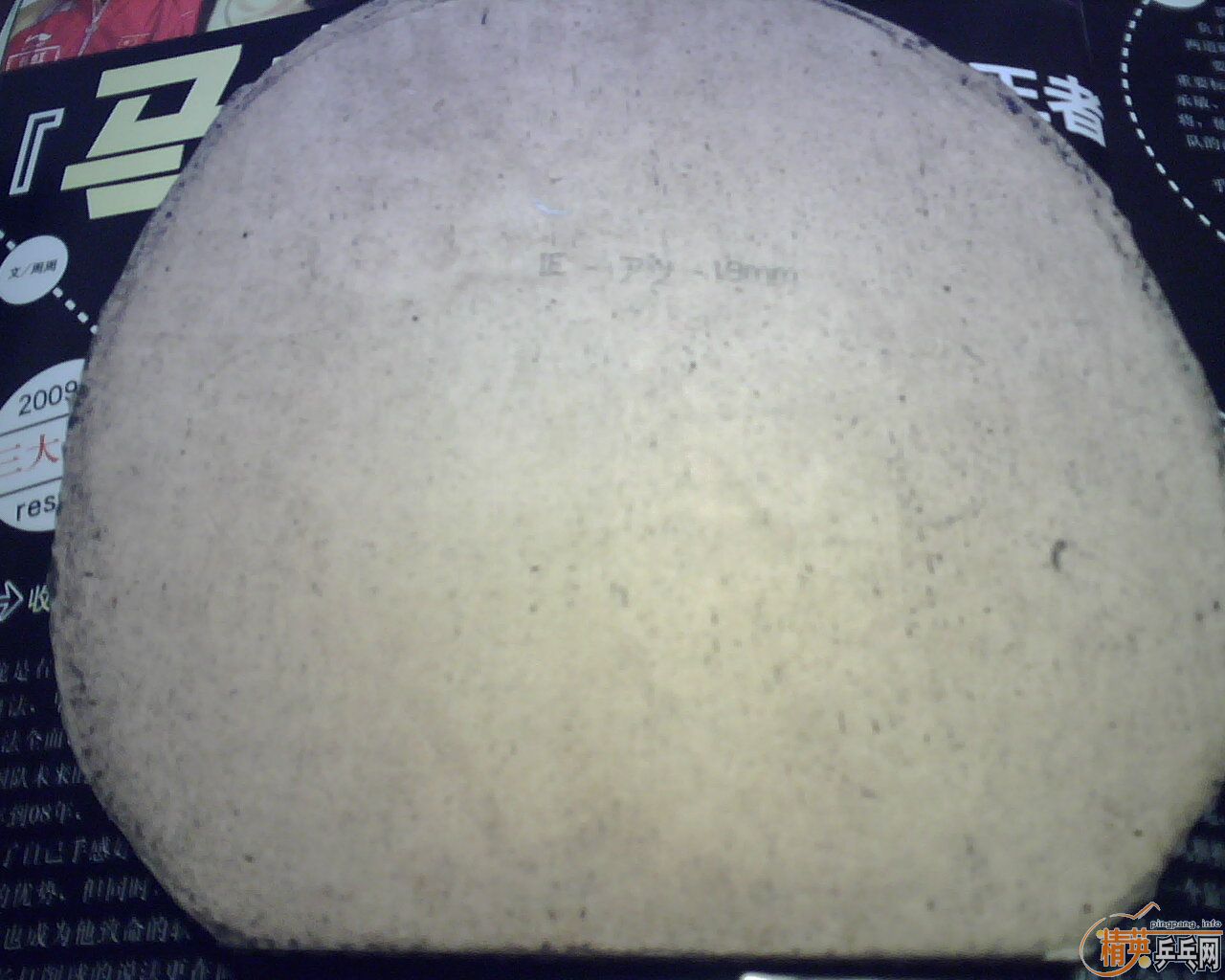 ���ѳ���С���� �����