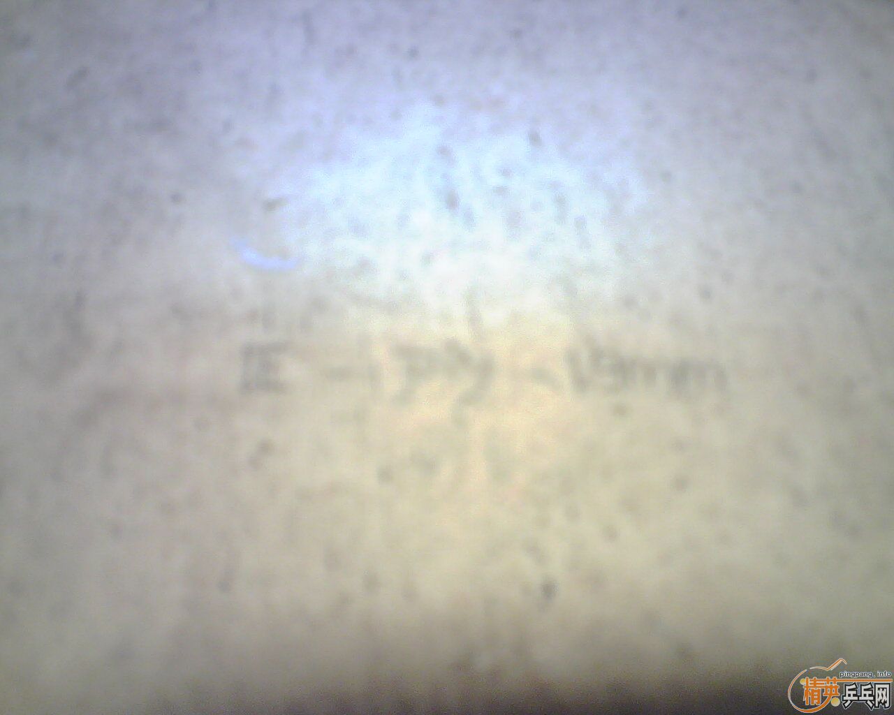 ���ѳ���С���� �����