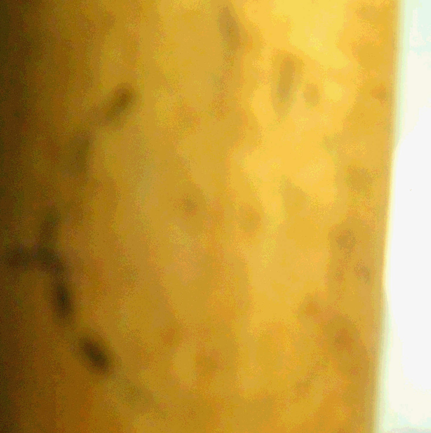 ֻһ