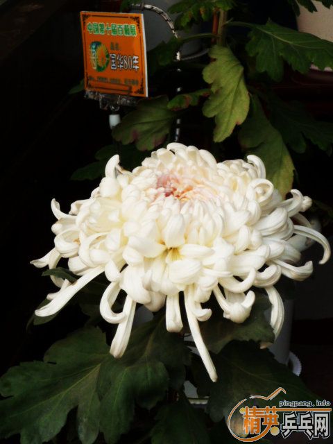 ޹-----֮(ϣʱȥһĪ˻)