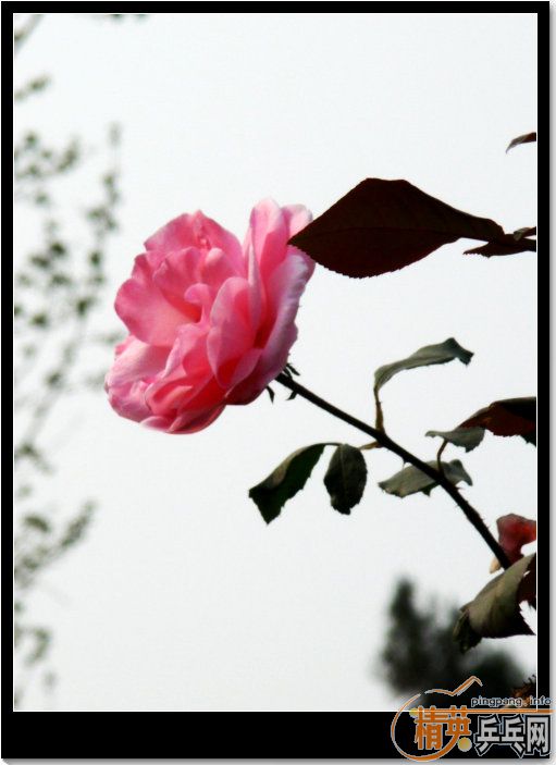޹-----֮(ϣʱȥһĪ˻)
