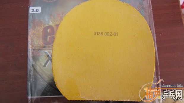 ֧�������200���ʳ���ڸ�һ�ŵ������쳵����Joola EXpress X-Plode