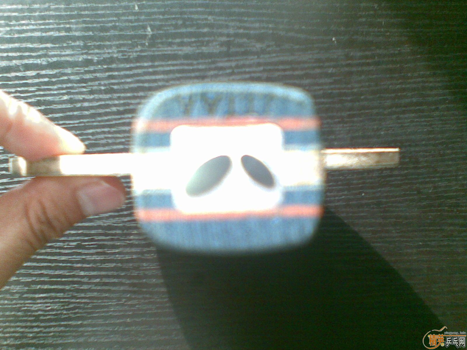 °壬µӡϲtimo boll spirit FL˹ۿOCoffensive classic FL