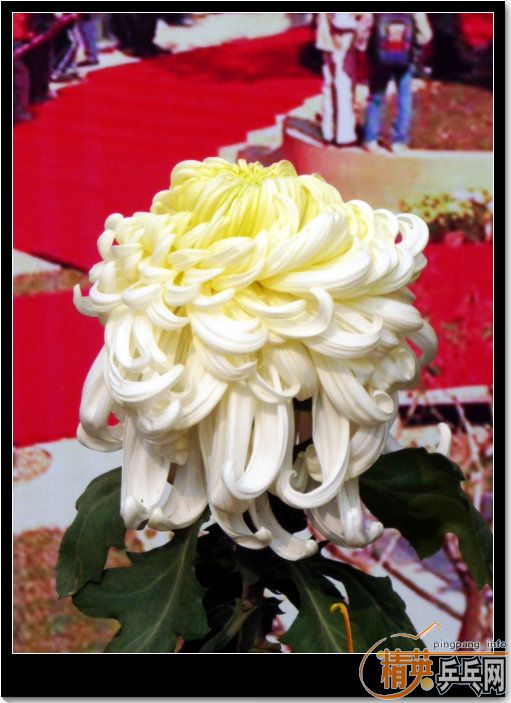 ޹-----֮(ϣʱȥһĪ˻)