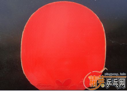 ��֧�������������SPEED��QQ49620741