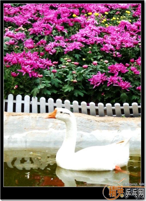 ޹-----֮(ϣʱȥһĪ˻)
