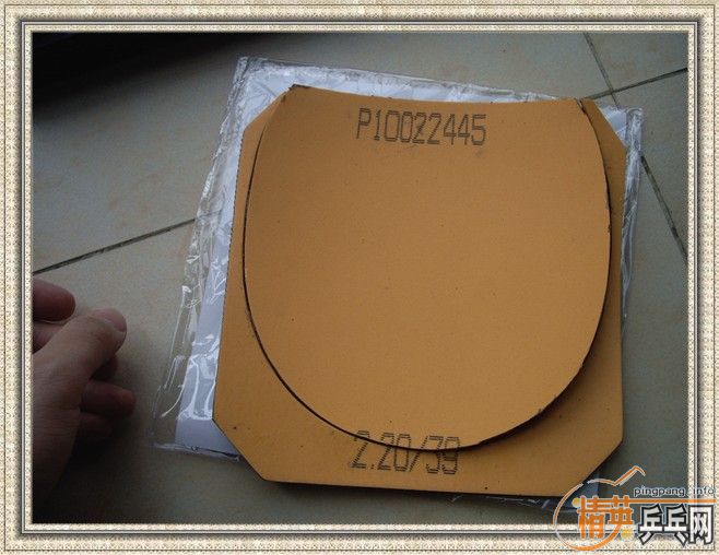 ������������̼����������~~