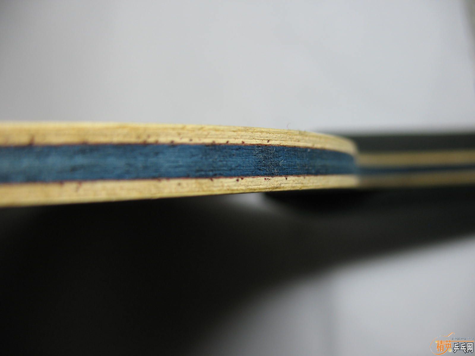 ����ľʾEG���������ľ����������𩡢���7.6