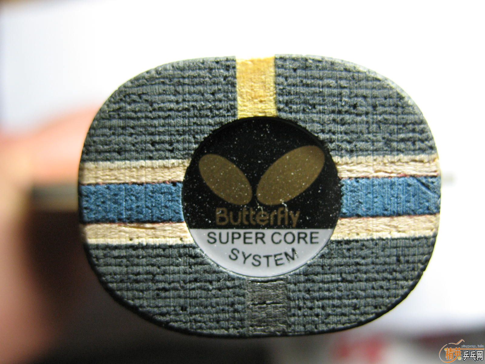 ����ľʾEG���������ľ����������𩡢���7.6