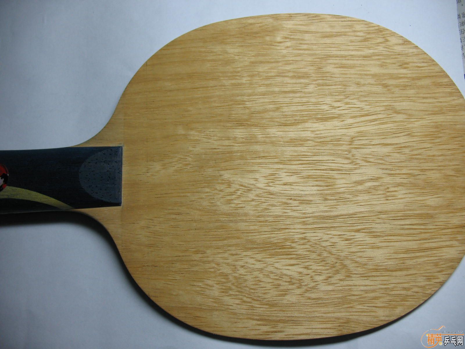 ����ľʾEG���������ľ����������𩡢���7.6