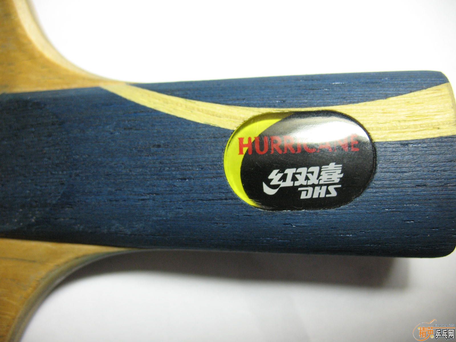 ����ľʾEG���������ľ����������𩡢���7.6