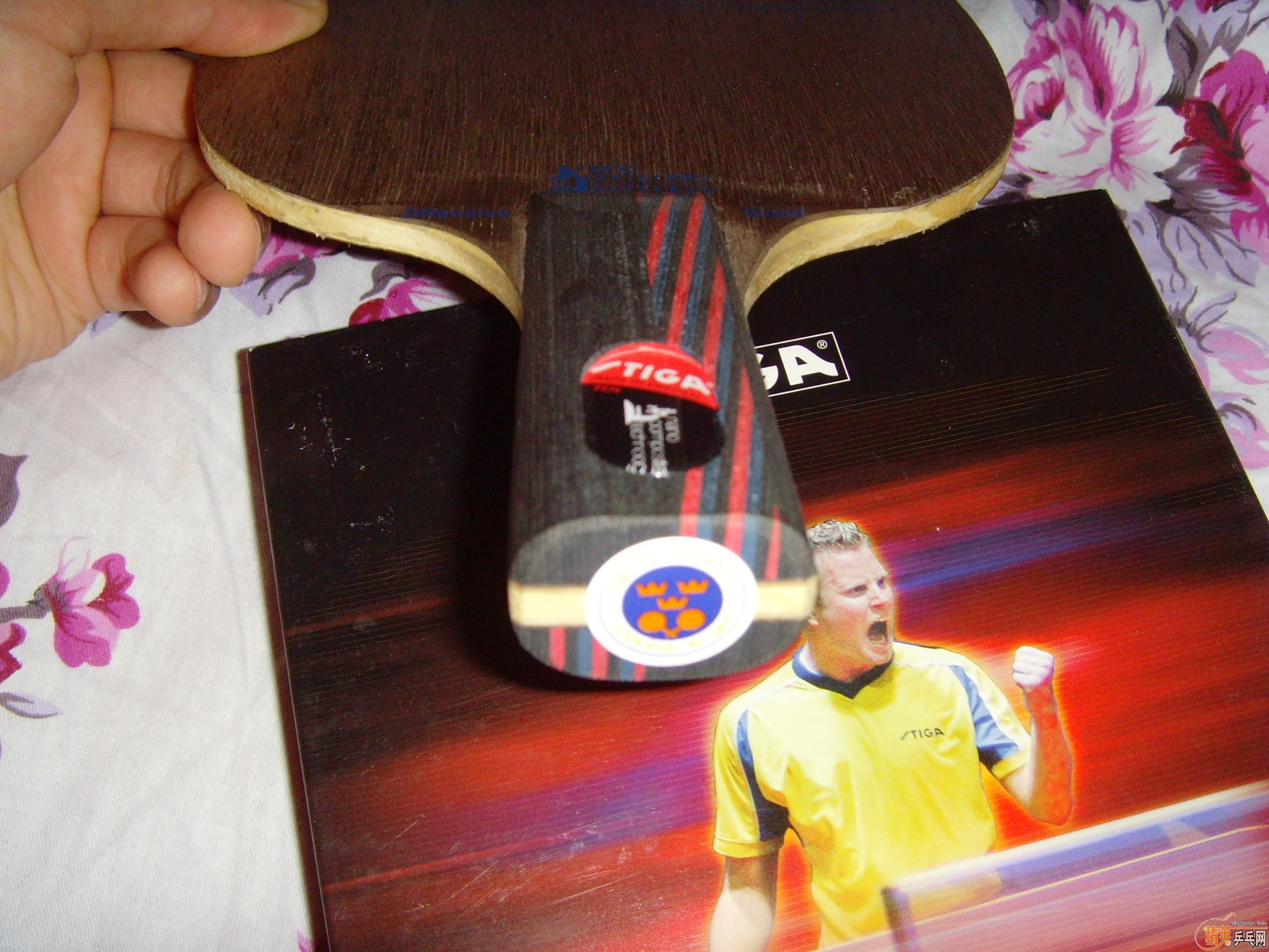 ���һ�εĳ�������OC,����!!!!250Ԫ!!!!!!!!!